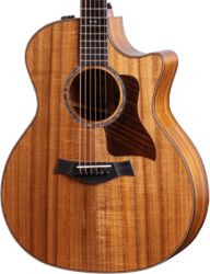 Folk guitar Taylor 724ce - Natural gloss