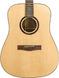 Folk guitar Wesland DR1-W - Natural